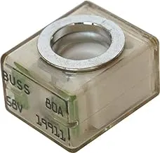 Blue Sea 80 Amp 5181