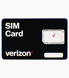 VE-SIM